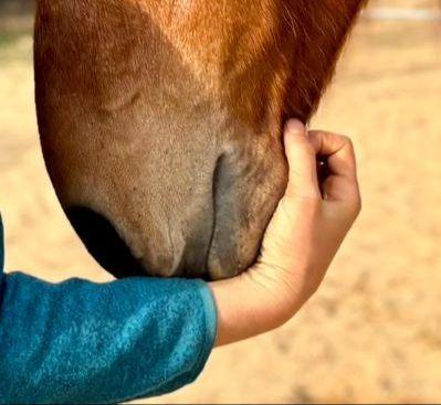 421615863_10161640615432884_9202099942644262485_n