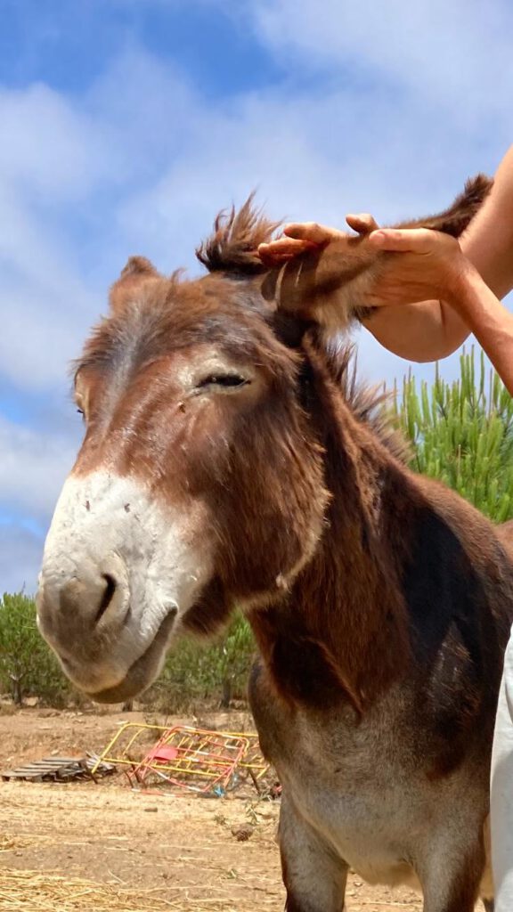 WhatsApp Image 2024-06-30 at 15.32.54 (1)